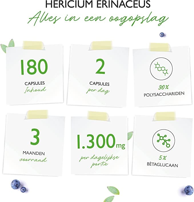 Lion's mane met 30% polysacchariden