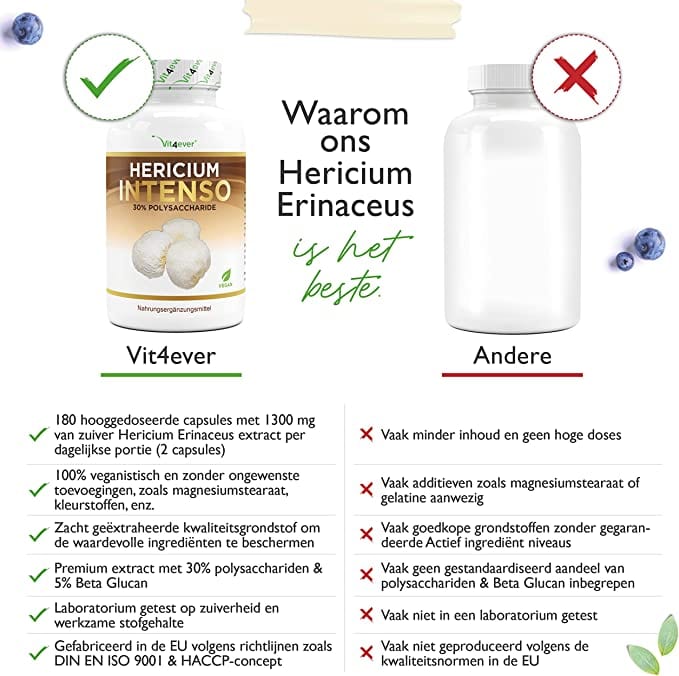 Vit4ever | Hericium Erinaceus paddenstoel (Lion’s Mane / Igelstachelbart) 650mg | 180 capsules