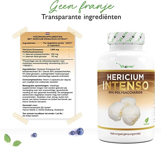 Vit4ever | Hericium Erinaceus paddenstoel (Lion’s Mane / Igelstachelbart) 650mg | 180 capsules