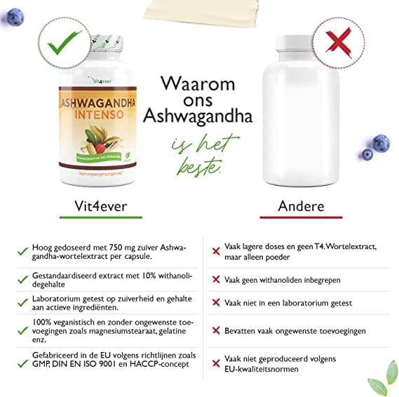 vit4ever intenso ashwagandha waarom?