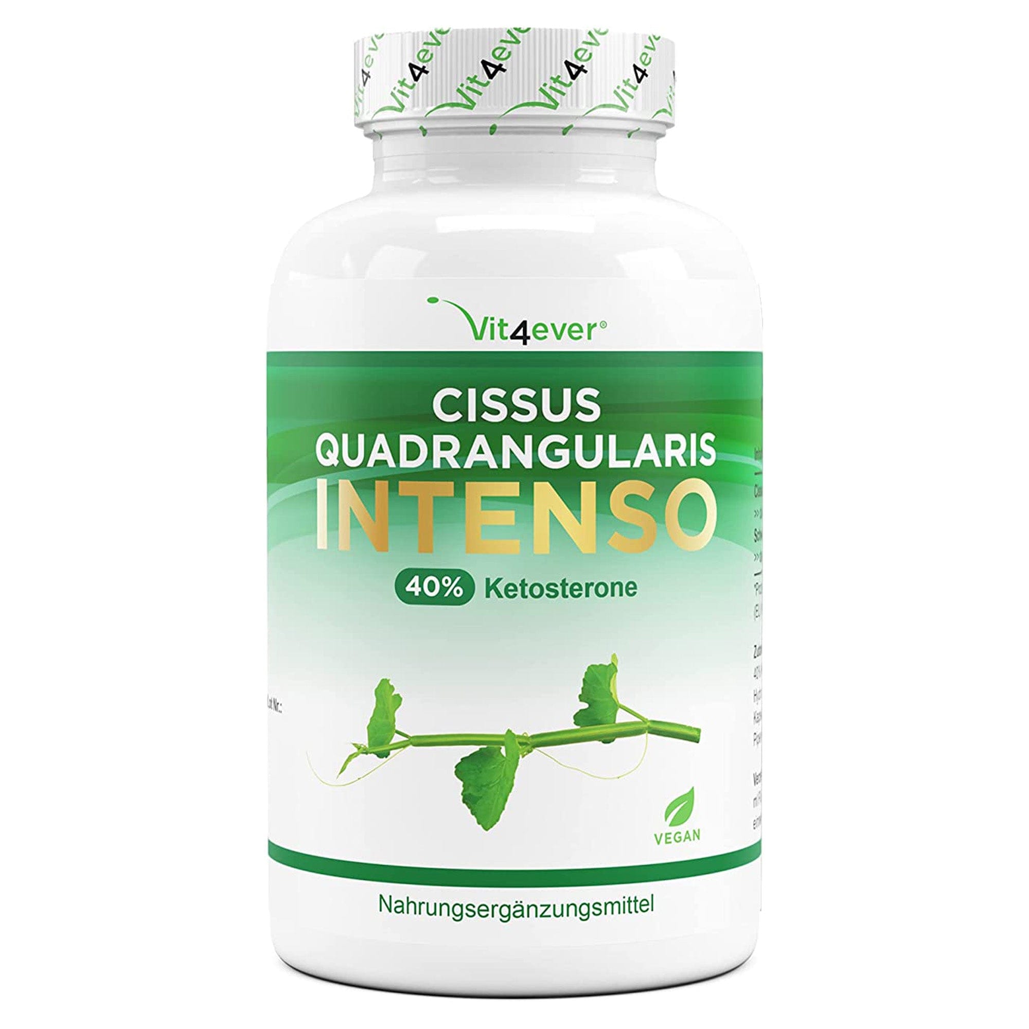Vit4ever Cissus Quadrangularis | 180 capsules met 720 mg extract | Premium: 40% Ketosteron + Zwarte Peper | Hoge Dosis | Veganistisch