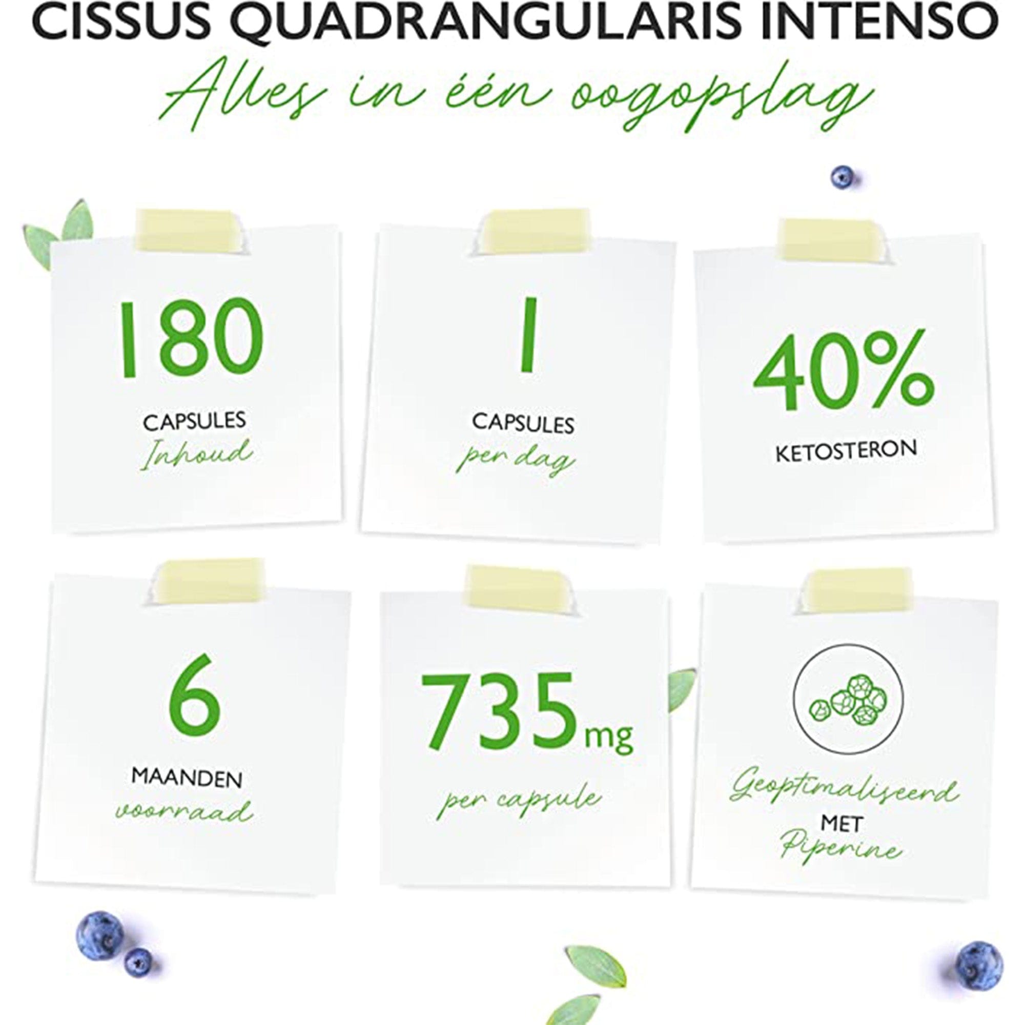 Vit4ever Cissus Quadrangularis | 180 capsules met 720 mg extract | Premium: 40% Ketosteron + Zwarte Peper | Hoge Dosis | Veganistisch
