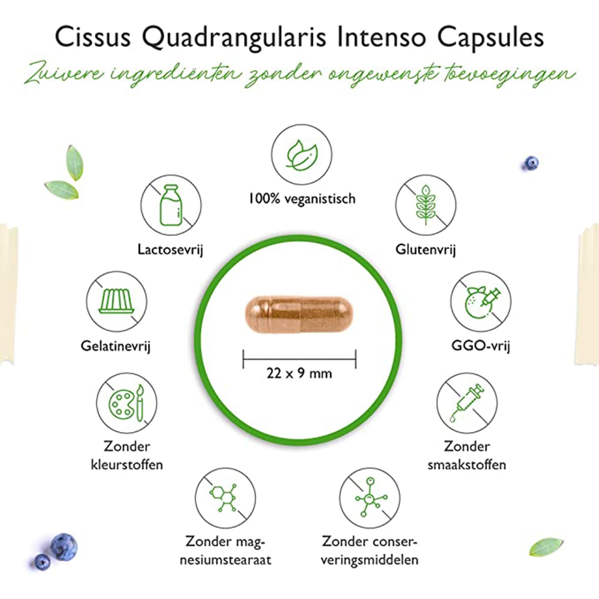Vit4ever Cissus Quadrangularis | 180 capsules met 720 mg extract | Premium: 40% Ketosteron + Zwarte Peper | Hoge Dosis | Veganistisch
