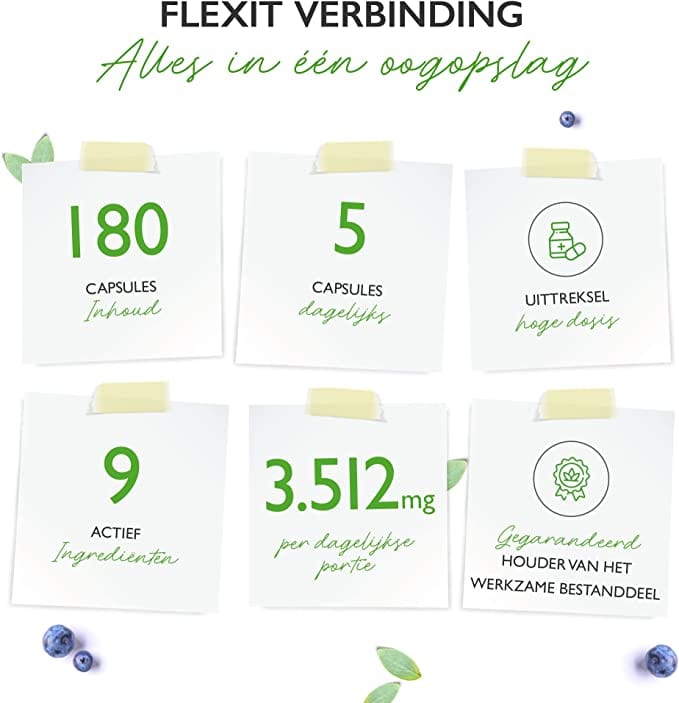 vit4ever gewricht ondersteuning