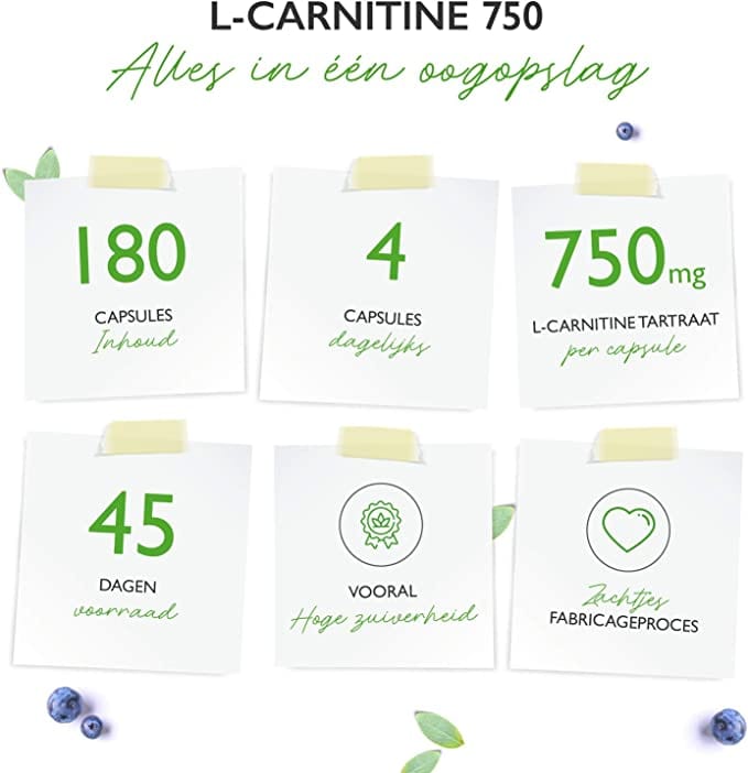 L-Carnitine Tartraat | 3000mg | 180 Capsules | Vit4ever