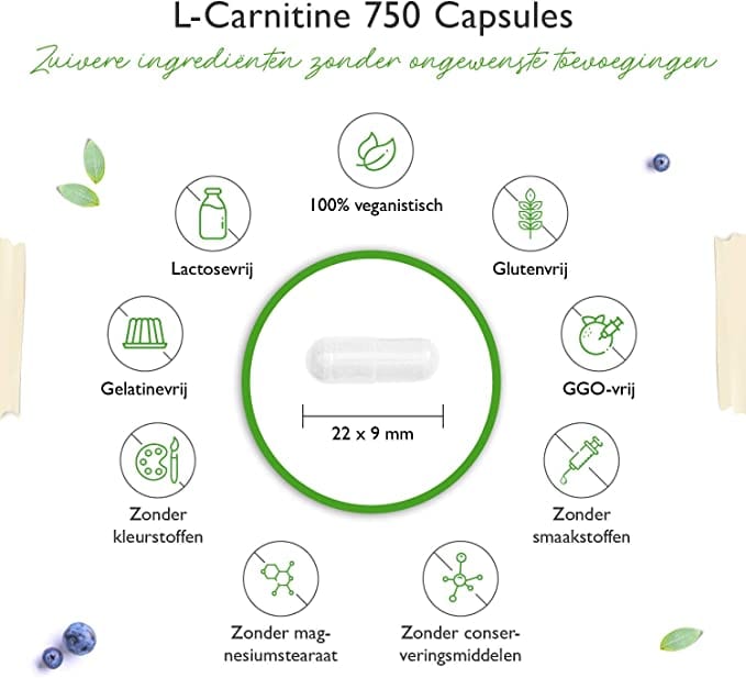 L-Carnitine Tartraat | 3000mg | 180 Capsules | Vit4ever