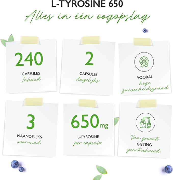 L-tyrosin | 650mg | 240 Vegetarische capsules | Vit4ever