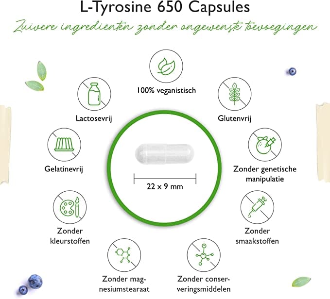 L-tyrosin | 650mg | 240 Vegetarische capsules | Vit4ever