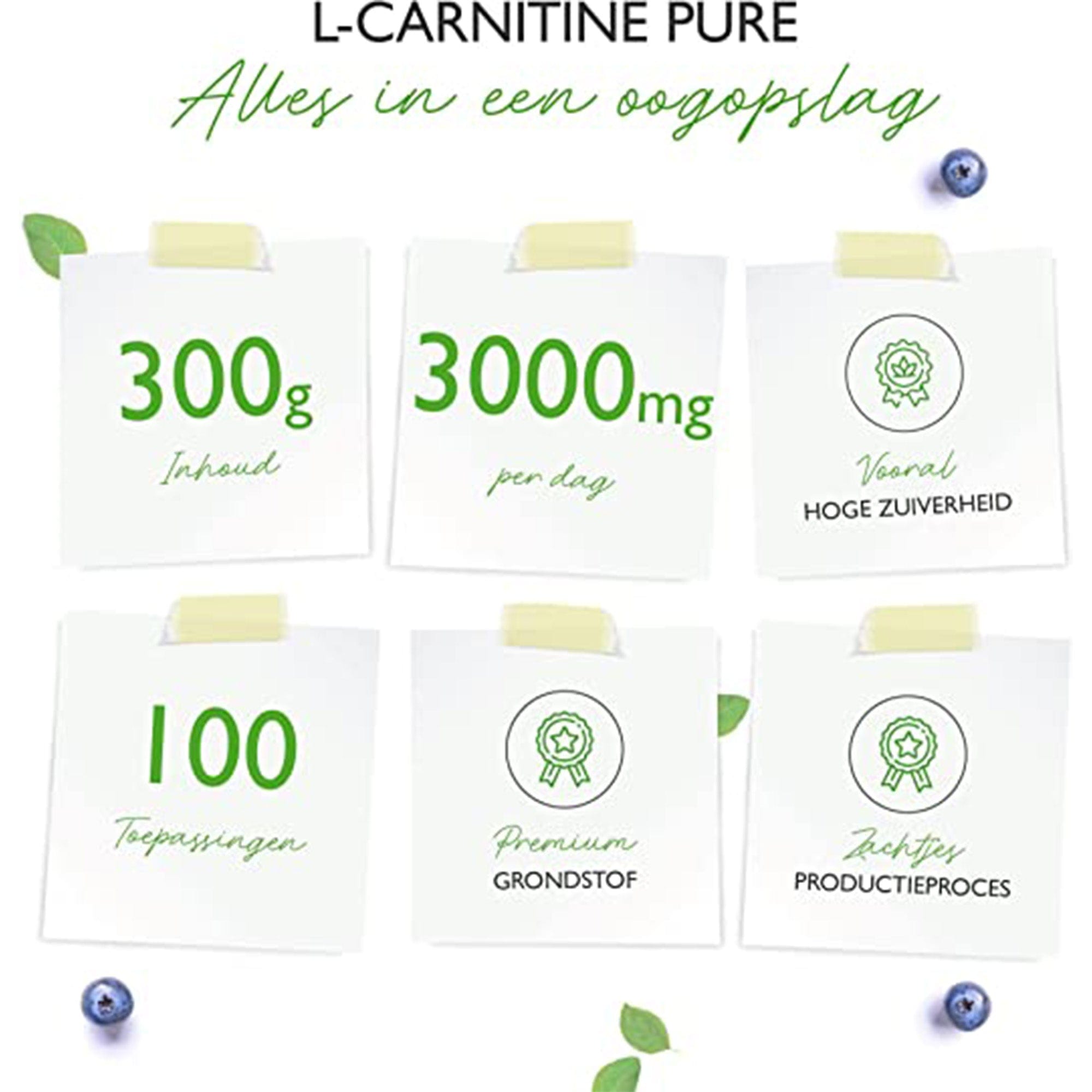 Vit4ever L-carnitine Pure | 300 g zuiver poeder zonder toevoegingen | 100% L-carnitine tartraat | 100 porties met 3000 mg carnitinepoeder | laboratoriumgetest | veganistisch | hoge dosering