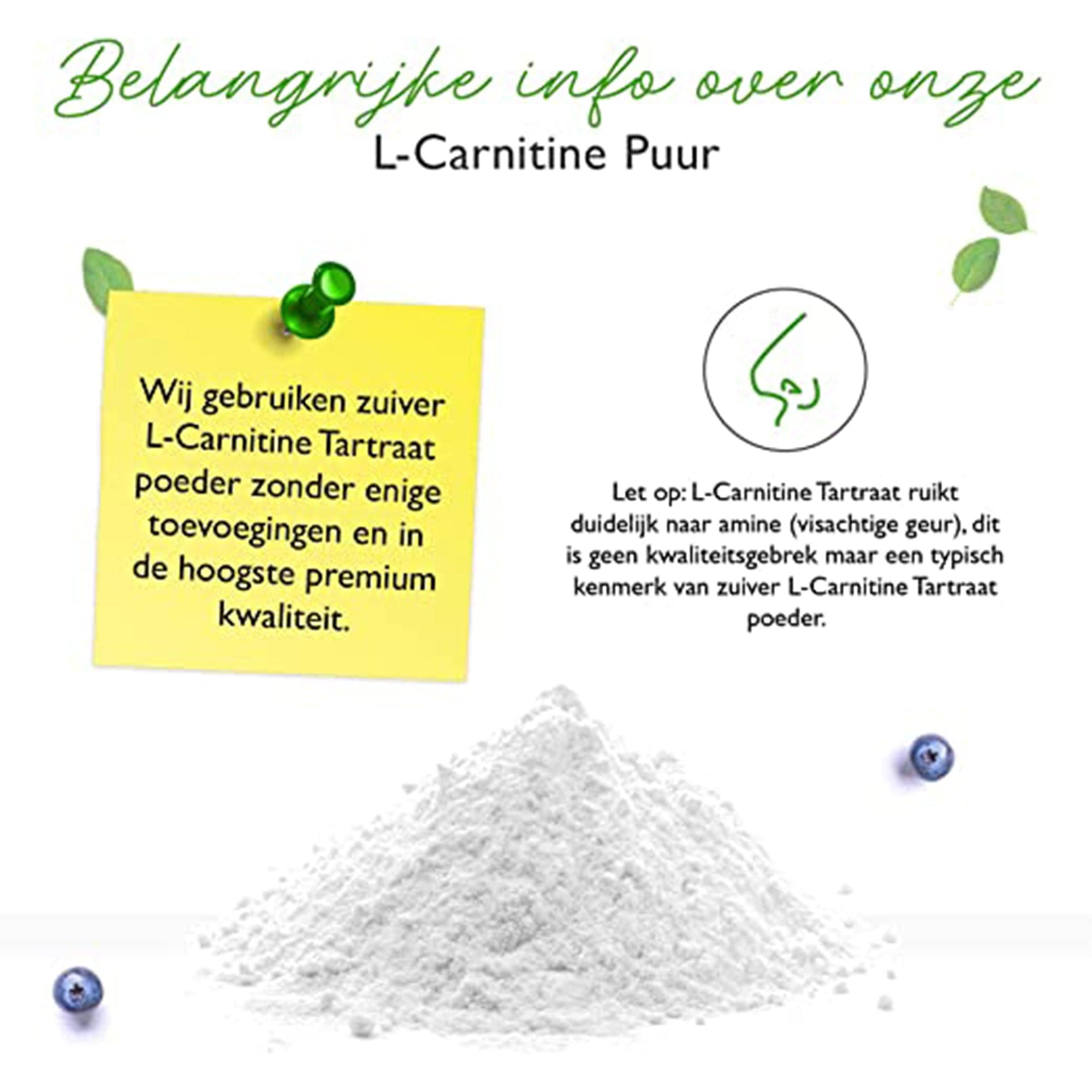 Vit4ever L-carnitine Pure | 300 g zuiver poeder zonder toevoegingen | 100% L-carnitine tartraat | 100 porties met 3000 mg carnitinepoeder | laboratoriumgetest | veganistisch | hoge dosering