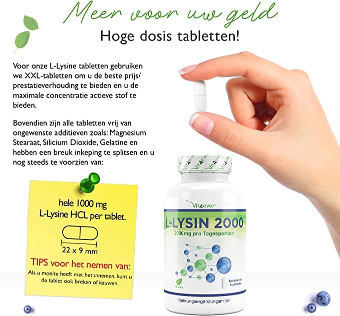 L-Lysine 2000 | 1000mg | 365 Tabletten | Vit4ever