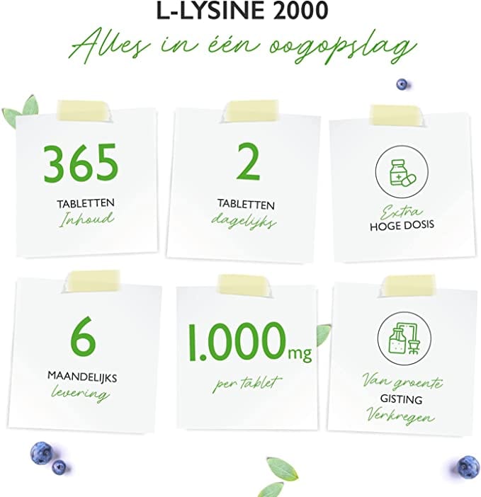 L-Lysine 2000 | 1000mg | 365 Tabletten | Vit4ever