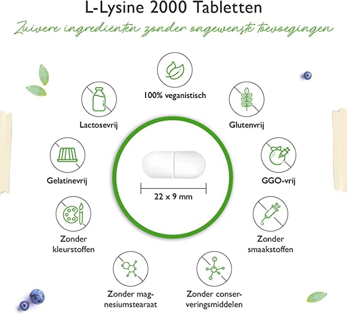 L-Lysine 2000 | 1000mg | 365 Tabletten | Vit4ever