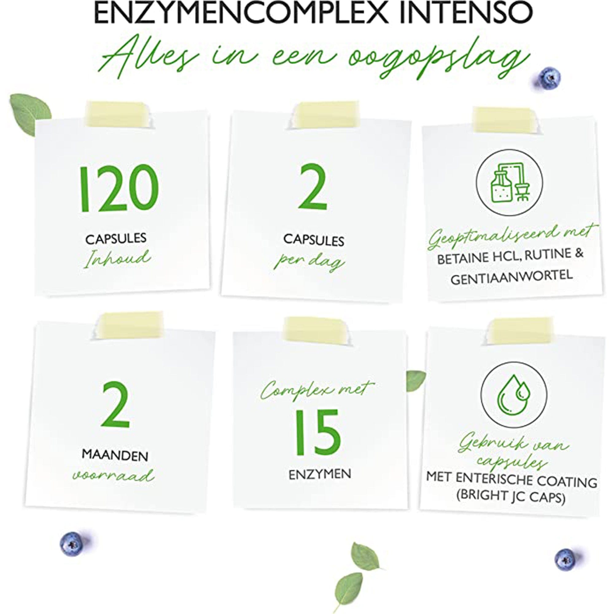 Vit4ever Enzymencomplex | 120 enterische capsules | 18 actieve ingrediënten | spijsverteringsenzymen met bromelaïne, papaïne, amylase, lipase, protease, rutine