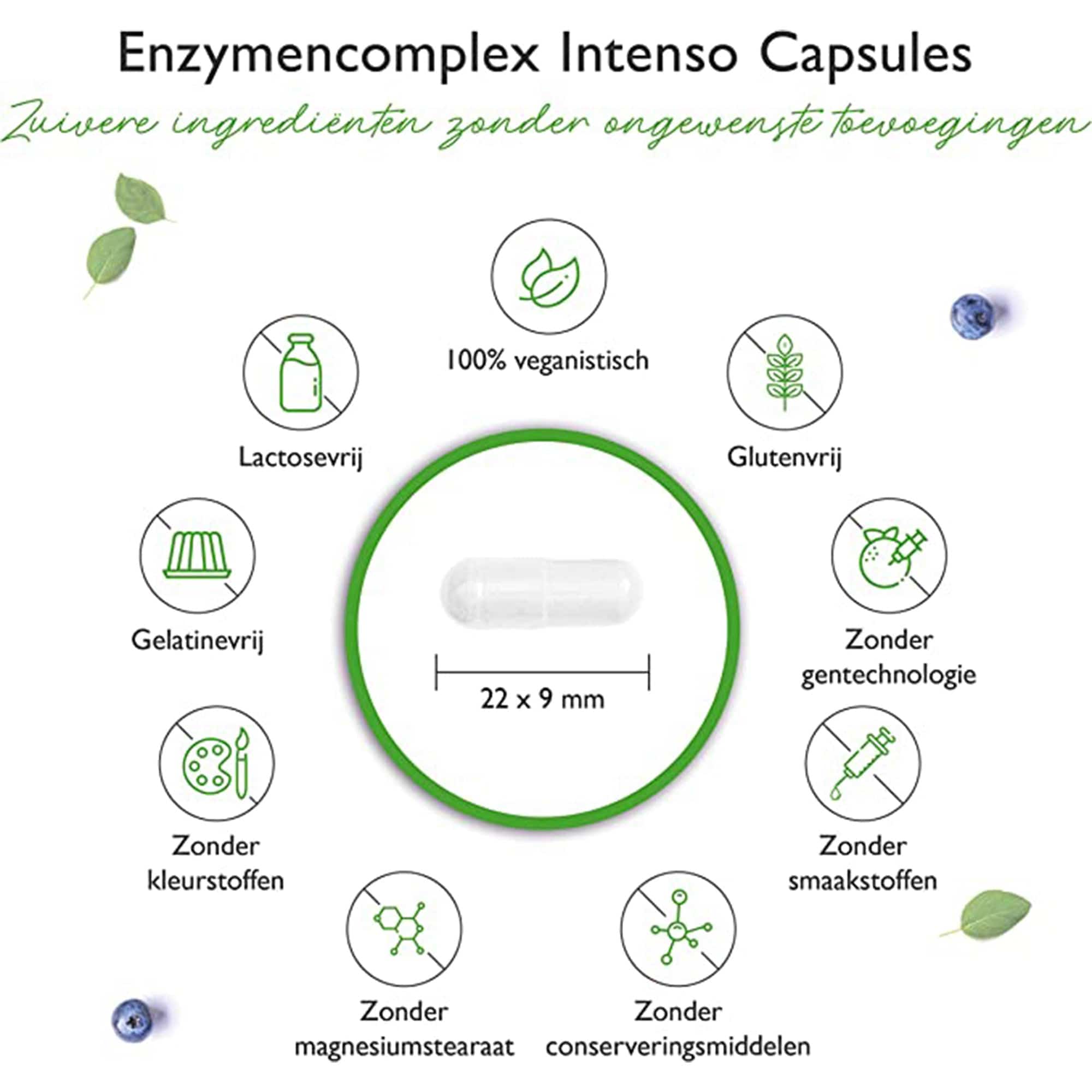 Vit4ever Enzymencomplex | 120 enterische capsules | 18 actieve ingrediënten | spijsverteringsenzymen met bromelaïne, papaïne, amylase, lipase, protease, rutine