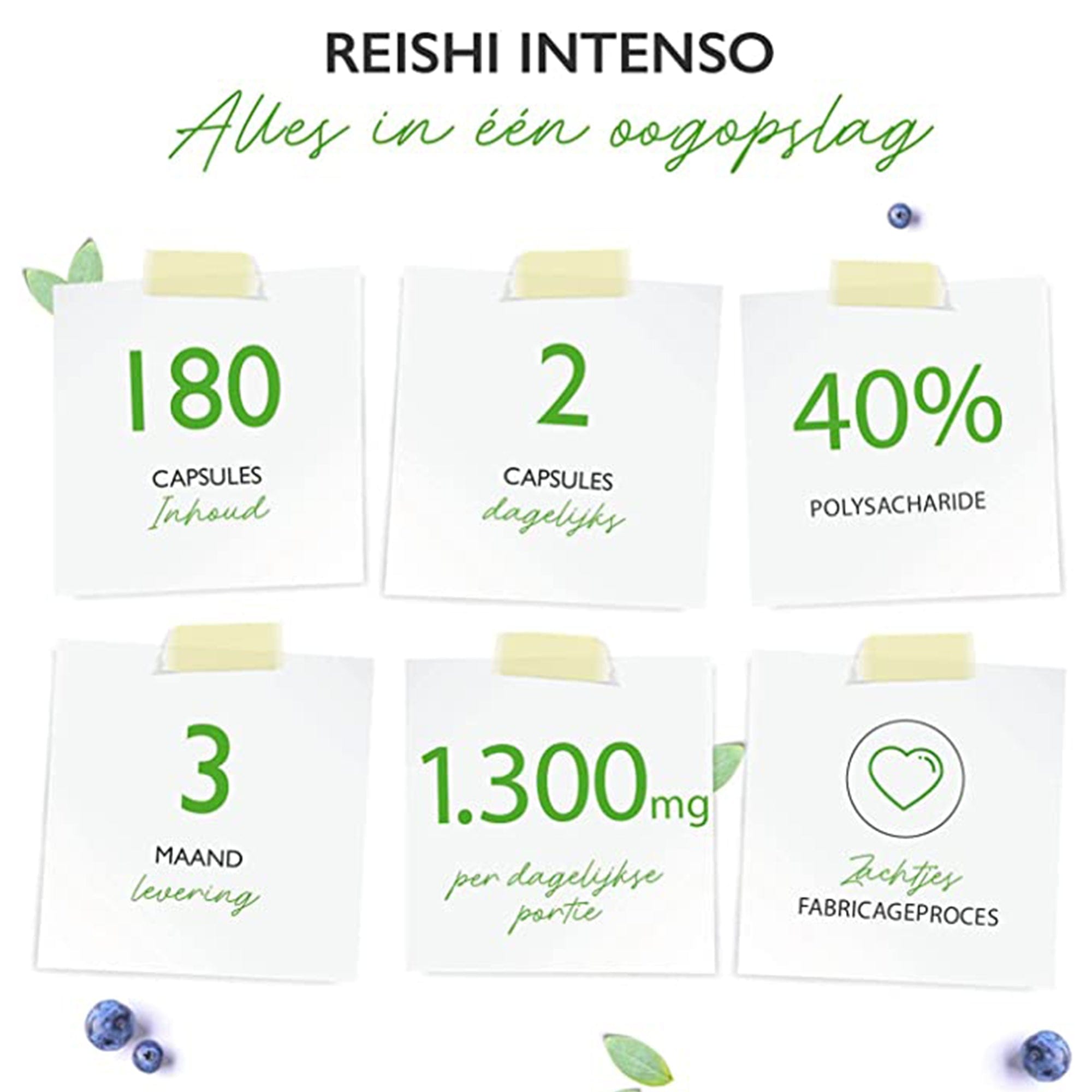 Reishi Intenso 1300mg | 180 capsules | Vit4ever