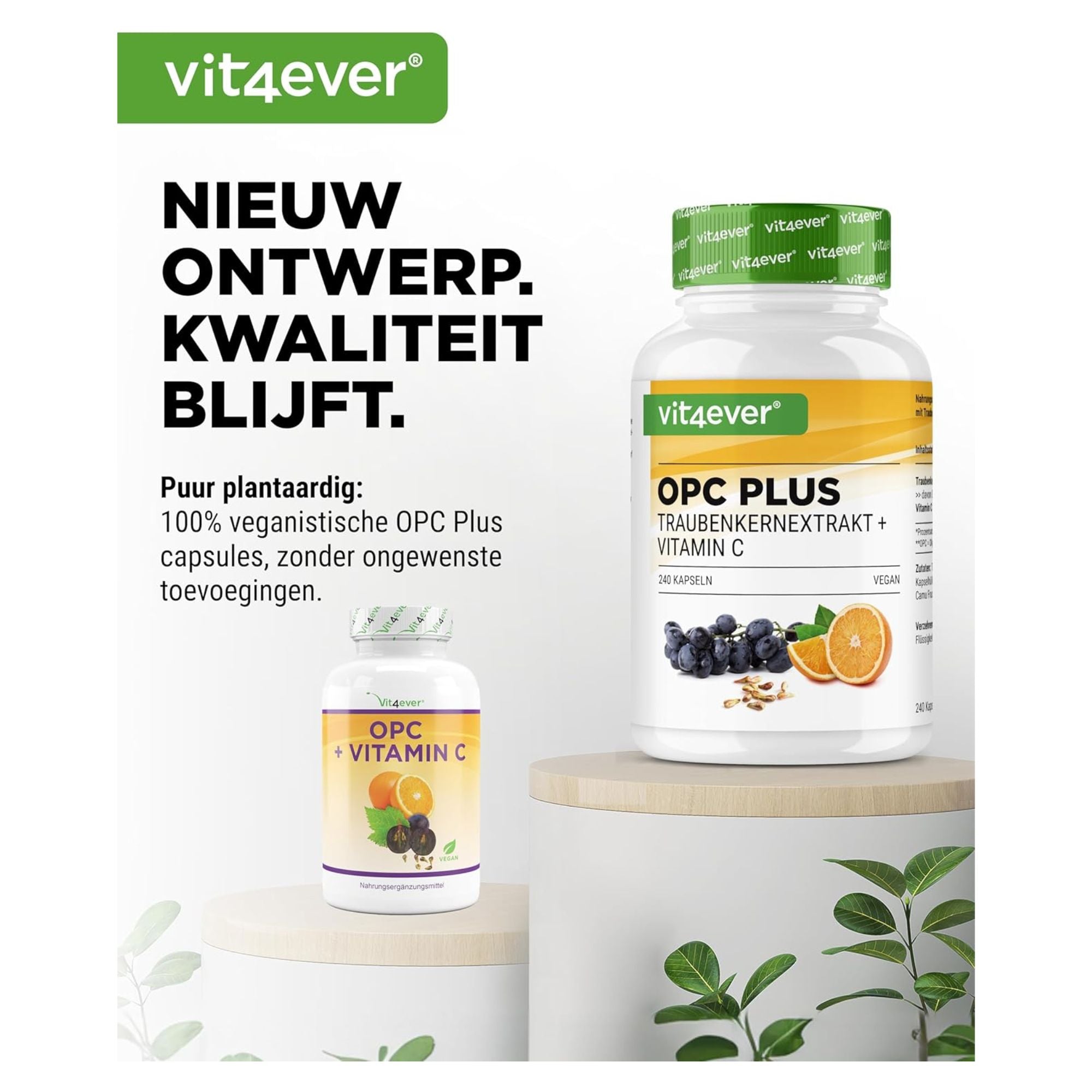 vit4ever druivenpit extract + vitamine C