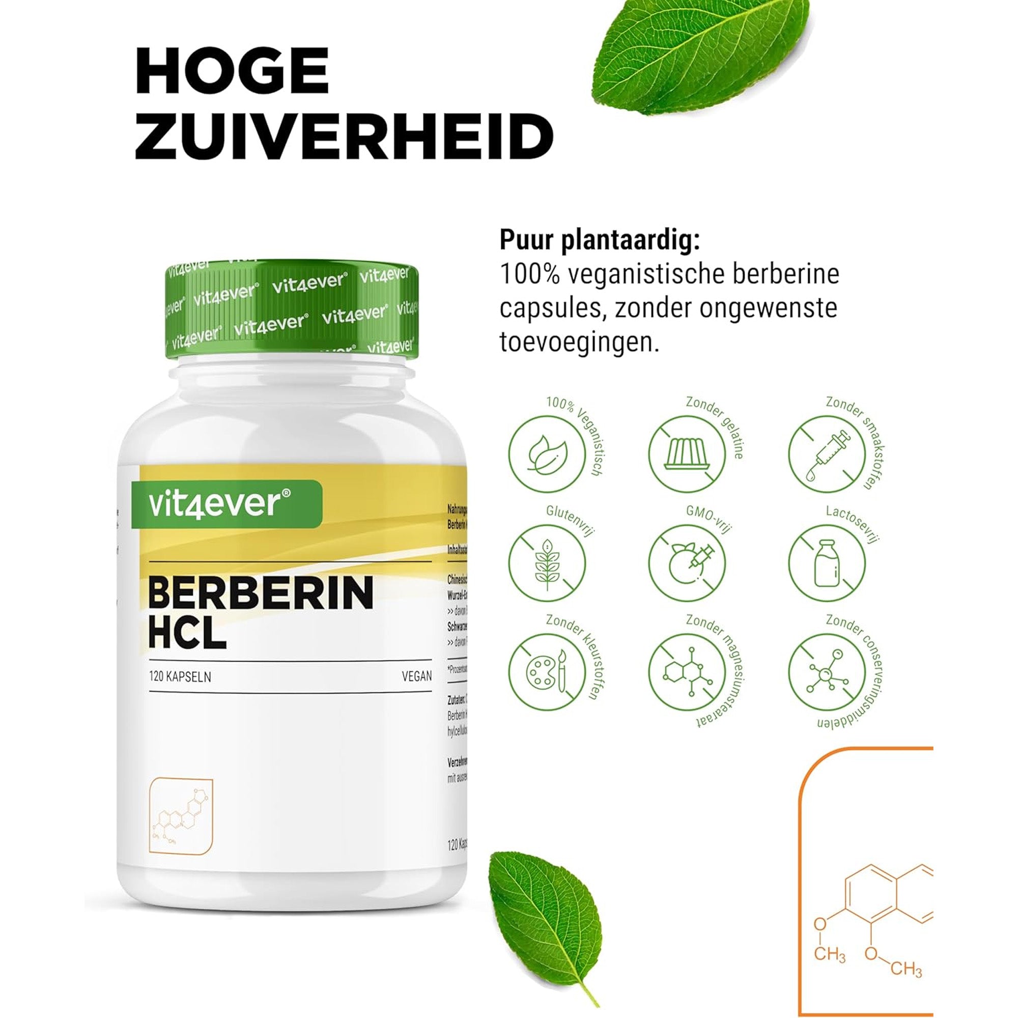 Berberine Intenso van Luto Supplements - Krachtige plantaardige ondersteuning voor spijsvertering en metabolisme