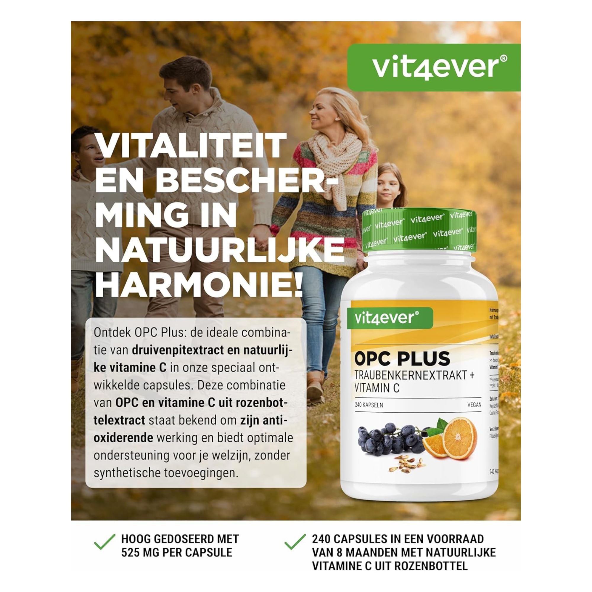 vit4ever druivenpit extract + vitamine C