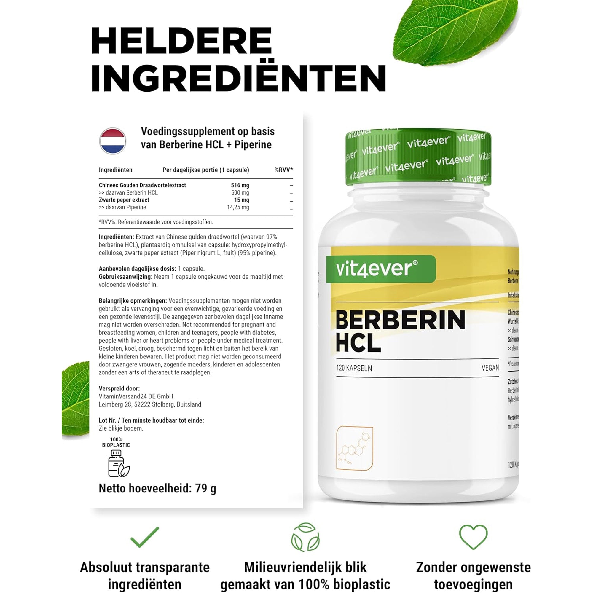 Berberine Intenso HCL - 120 capsules - Plantaardige ondersteuning voor cholesterol en metabolische balans