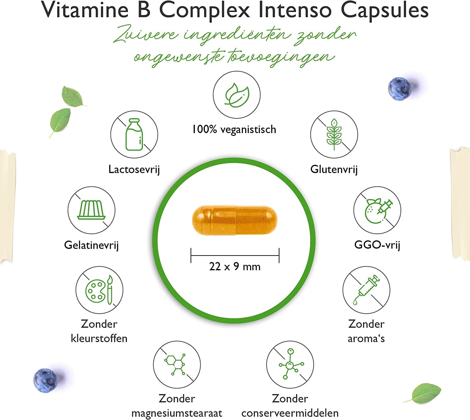 Vitamine B-complex Intenso - 240 capsules (6 maanden) - Premium: Met bio-actieve vitamine B-vormen + co-factoren - Tot 10 keer hogere dosering dan andere vitamine B-complexen - Veganistisch