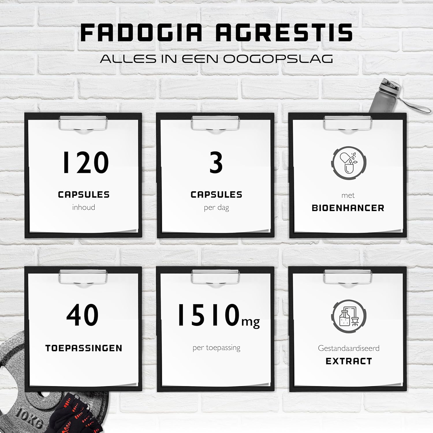 Fadogia Agrestis Max | 120 Capsules