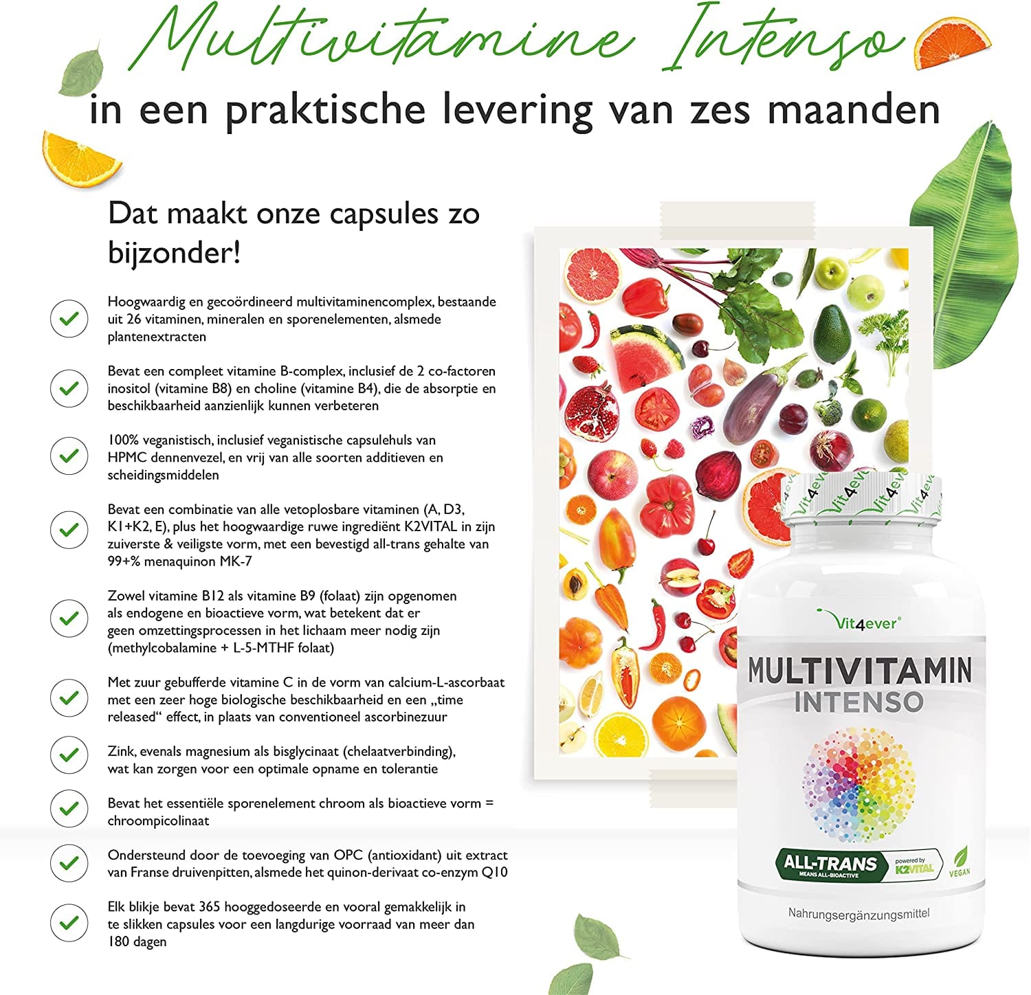Vit4ever Premium Multivitamine A-Z - 365 Hoge Dosis Capsules met Bioactieve Vormen & Merkgrondstoffen - Vitaminen + Mineralen - Veganistisch