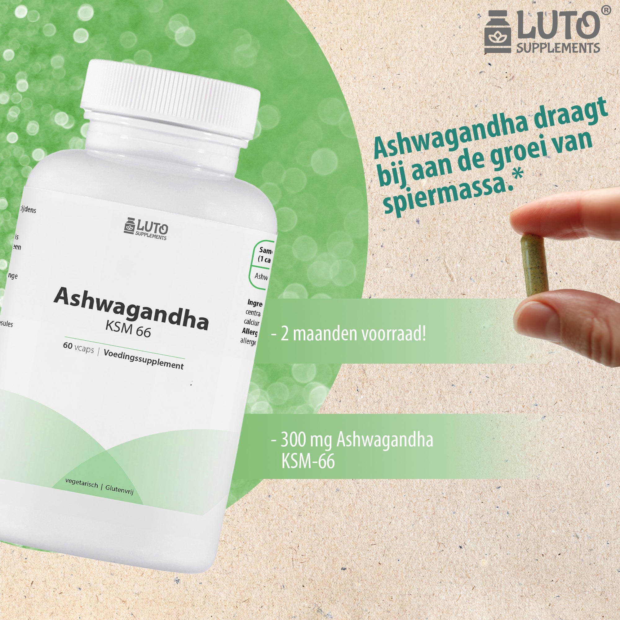 Ashwagandha KSM-66 | 5% withanoides | 300mg | 60 Vegetarische capsules | Hoge kwaliteit | LUTO Supplements