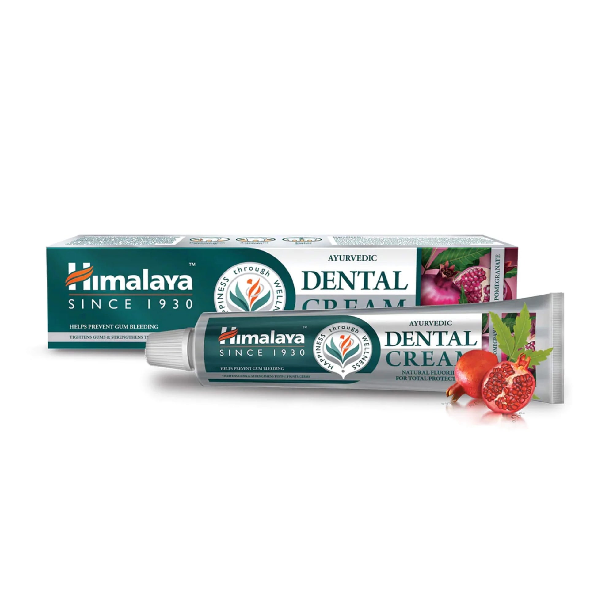 Ayurvedic Dental Cream with Natural Fluoride | 100 gram | Himalaya