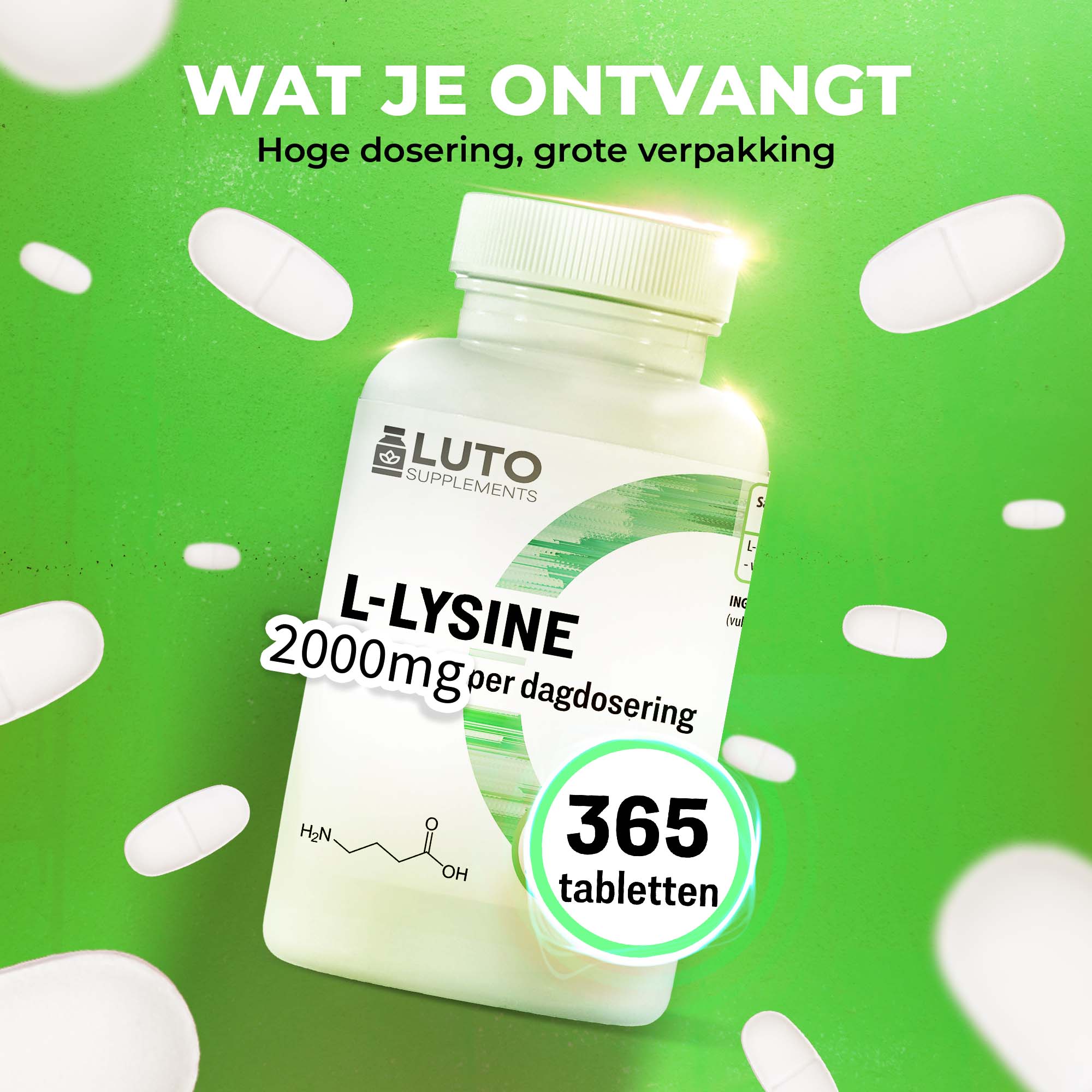 L-Lysine 1000 mg | Jaarvoorraad | 365 Tabletten | LUTO Supplements