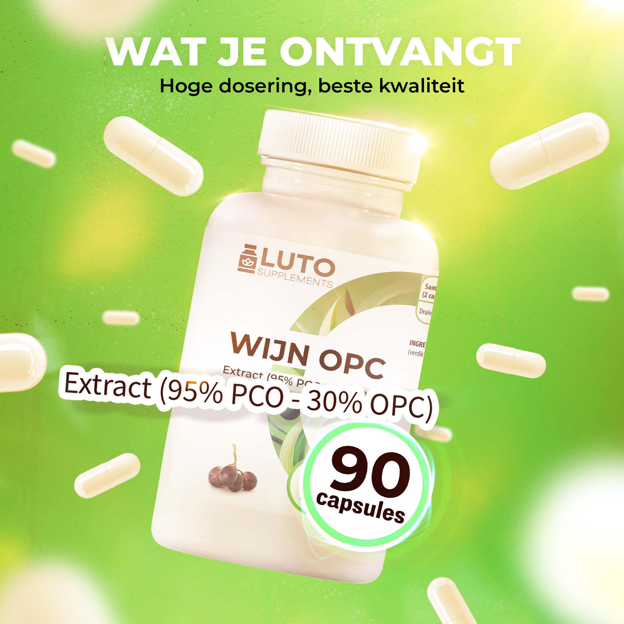 OPC Druivenpitextract (95% PCO - 30% OPC) | 90 capsules | LUTO Supplements