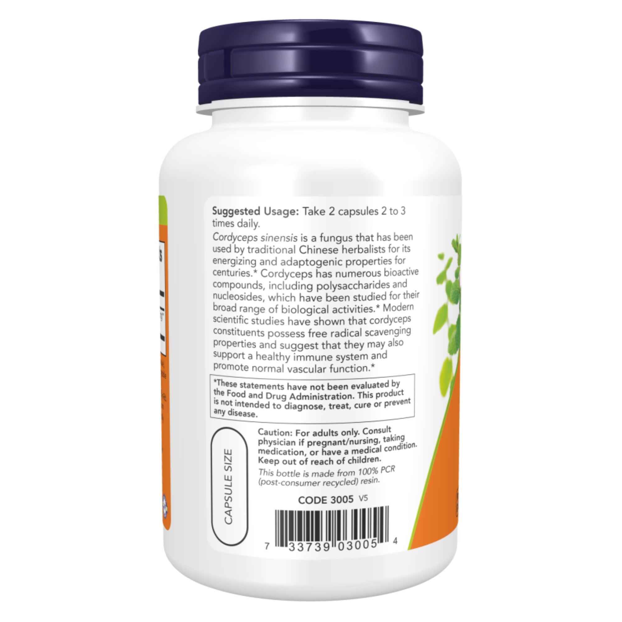 Cordyceps 750 mg | 90 vegan capsules | NOW®