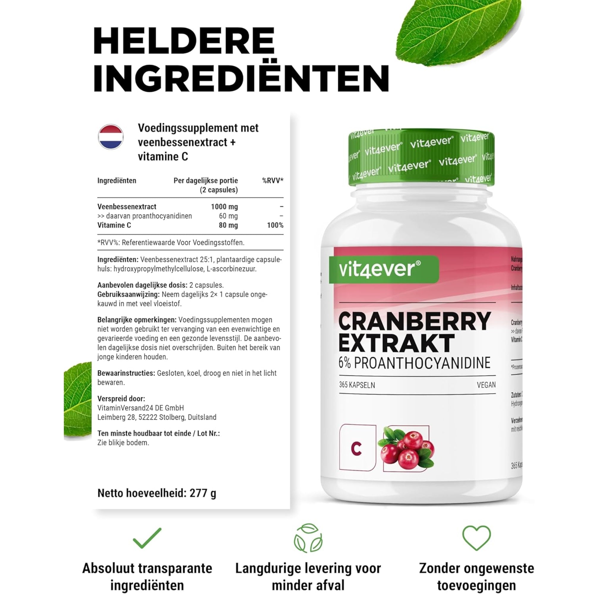 Cranberry Extract 6% Proanthocyanidine | 365 capsules | Vit4ever