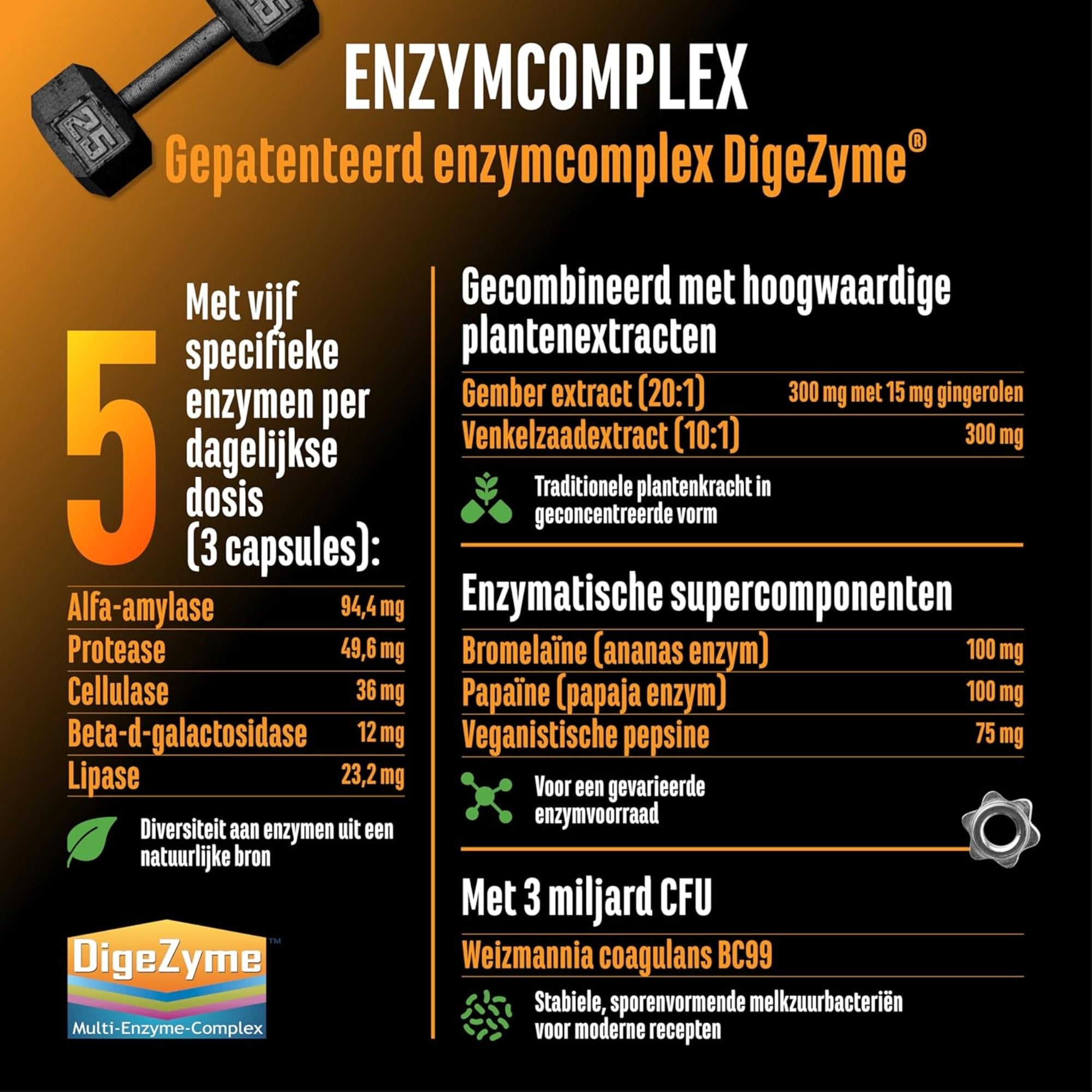 Enzyme Complex (DigeZyme®, probiotica & plantenextracten) | 120 capsules | German Elite Nutrition