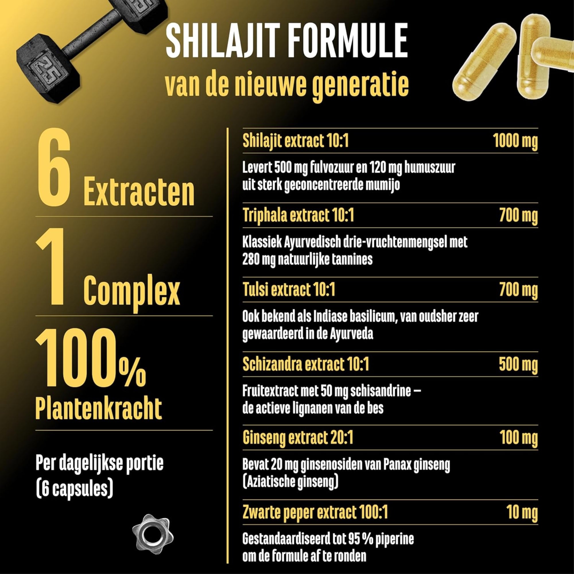 Shilajit Complex (Shilajit, Triphala, Tulsi, Ginseng, Schisandra & Piperine) | 180 capsules | German Elite Nutrition