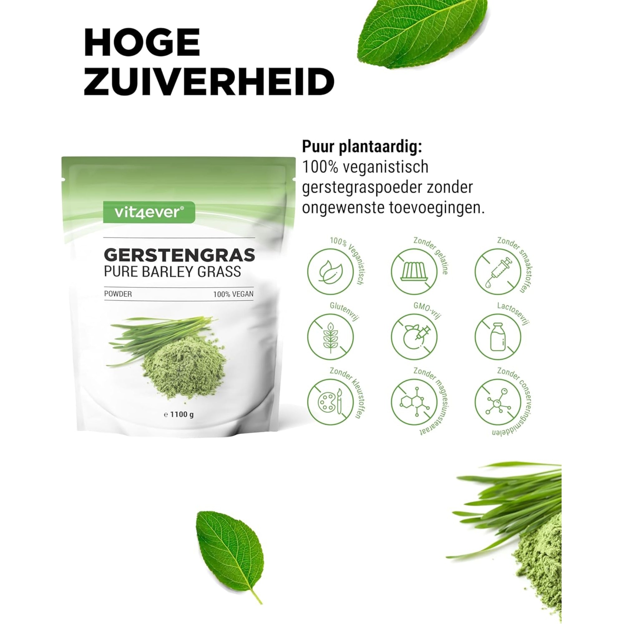Gerstegras poeder (Gerstengras) | 1,1 kg | Vit4ever