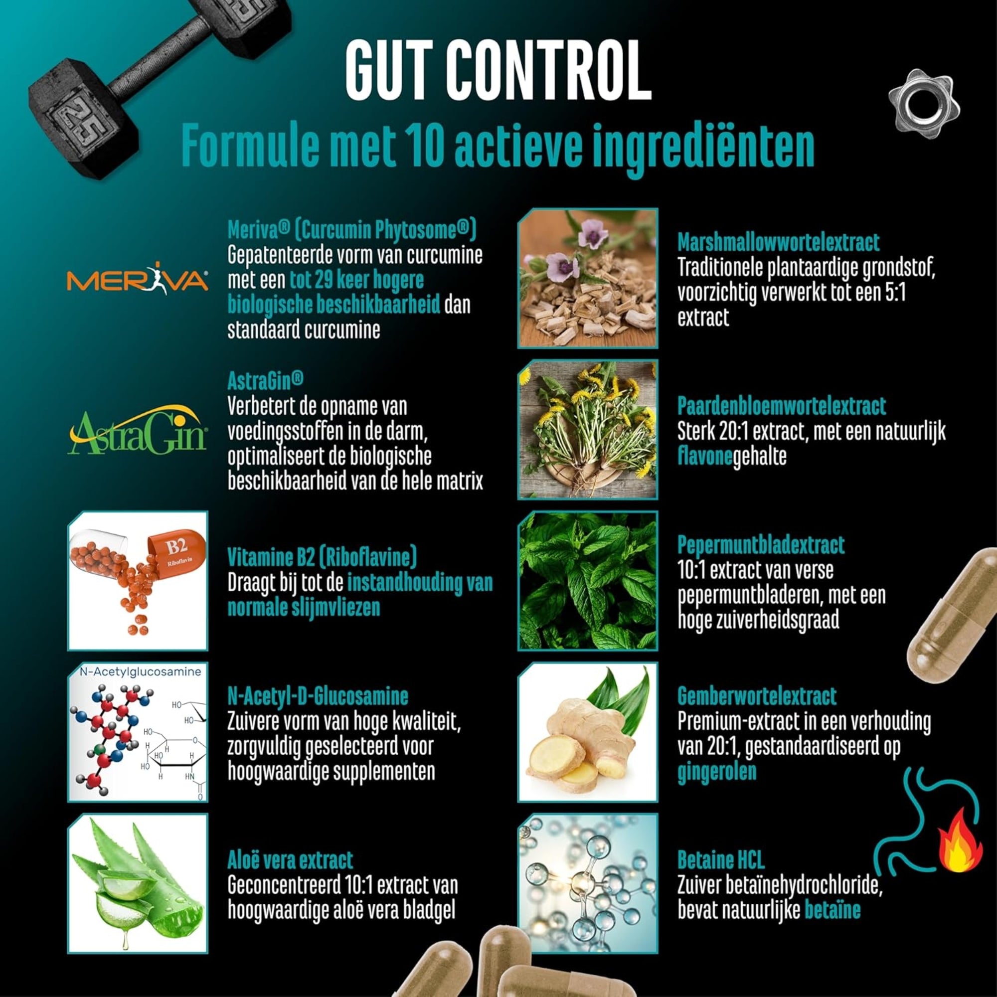 Gut Control (Darmbalans) | 120 capsules | German Elite Nutrition