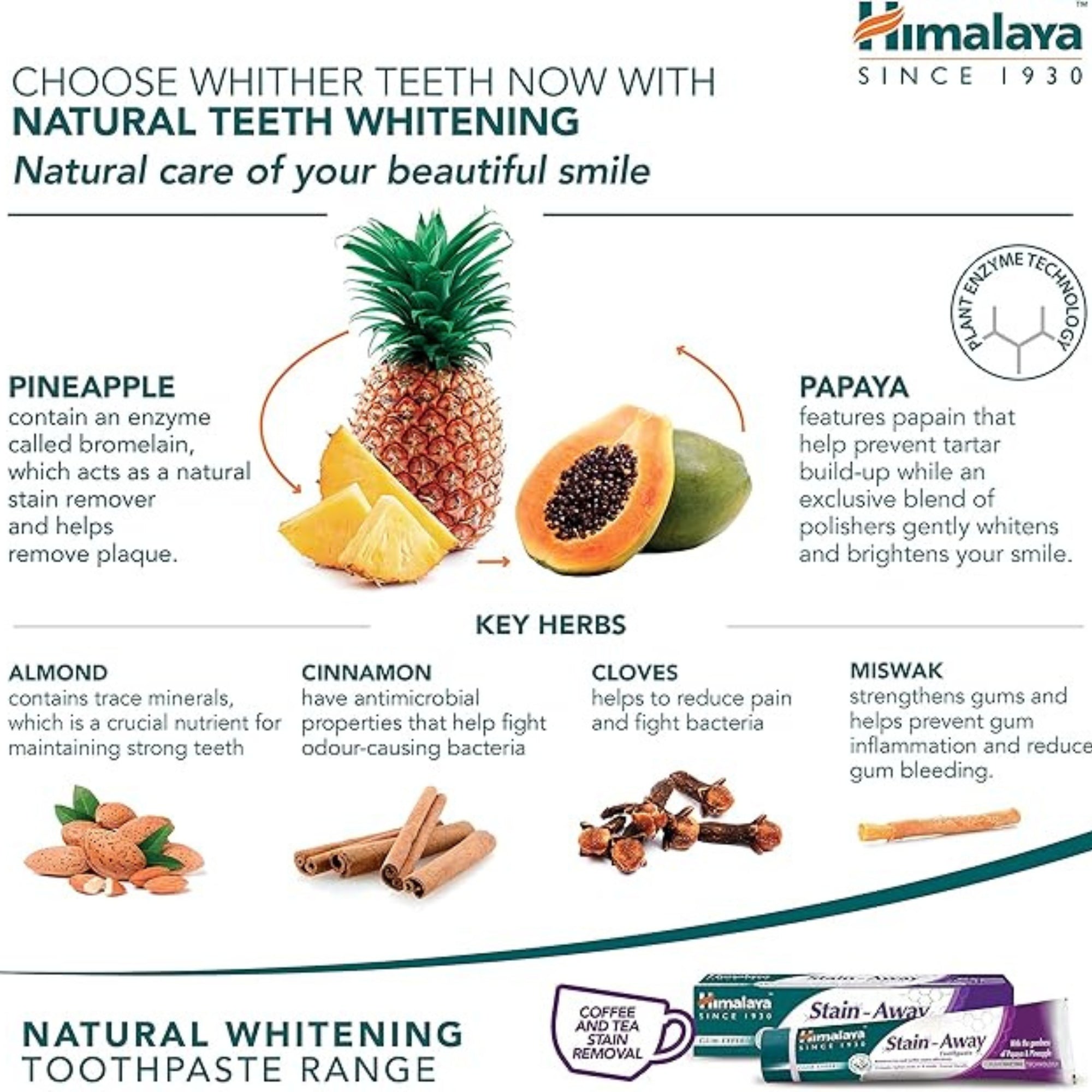 Himalaya Gum Expert Herbal Toothpaste Stain Away | 75ml