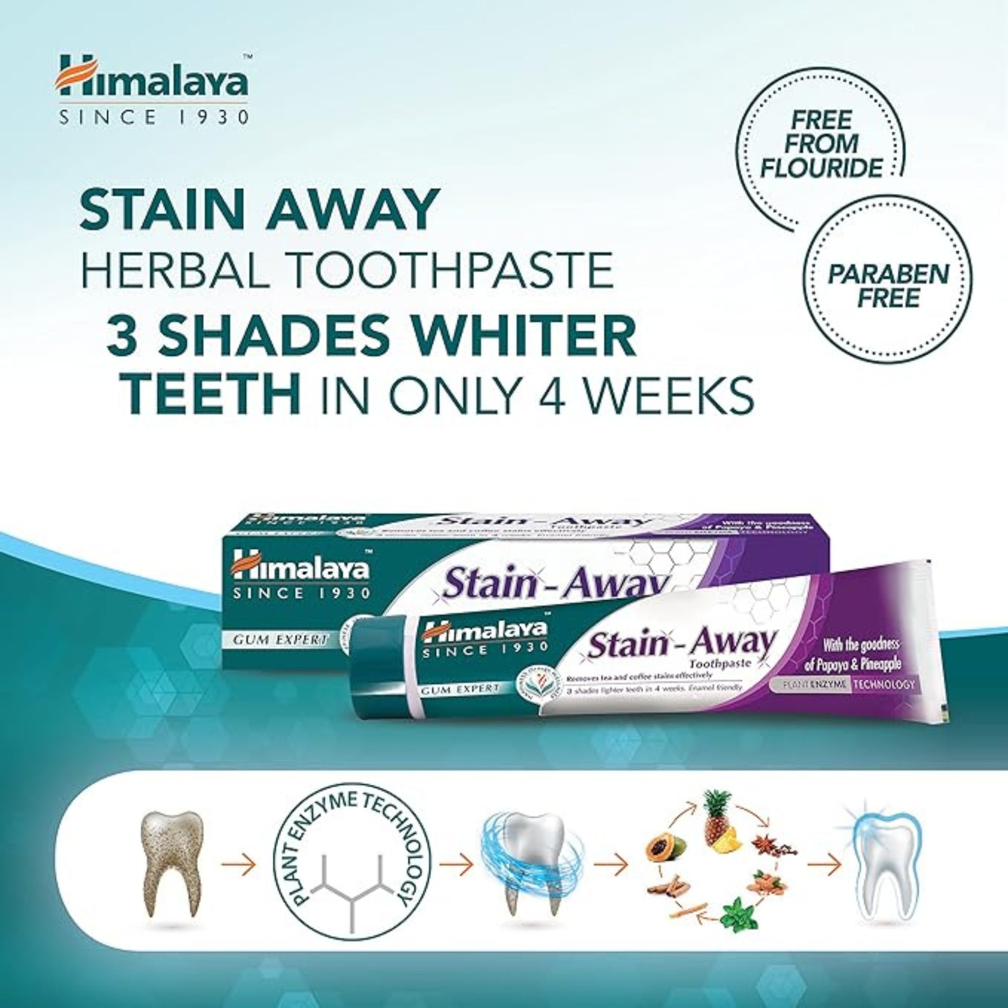 Himalaya Gum Expert Herbal Toothpaste Stain Away | 75ml