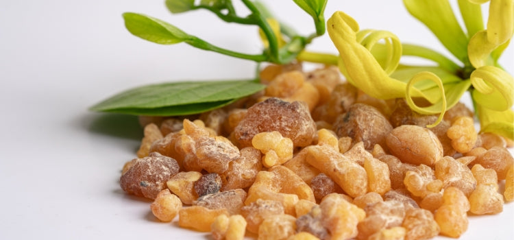 Ingredient 1 Image Desktop