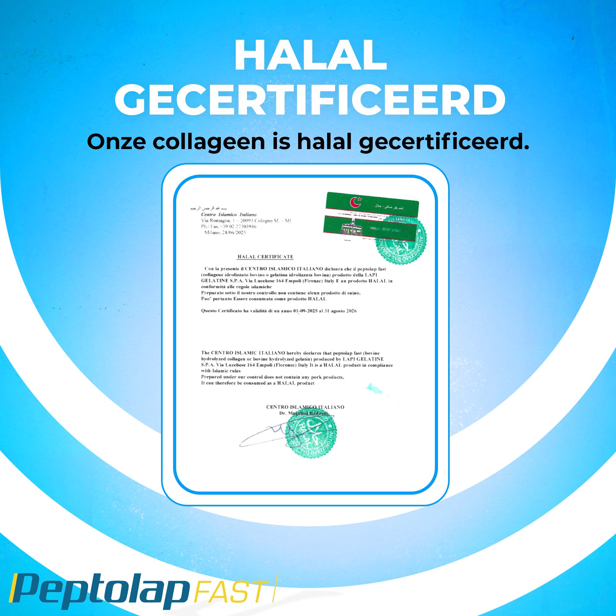Halal Gehydrolyseerd Collageen poeder (Collageen Type I & III) | 500g | LUTO Supplements
