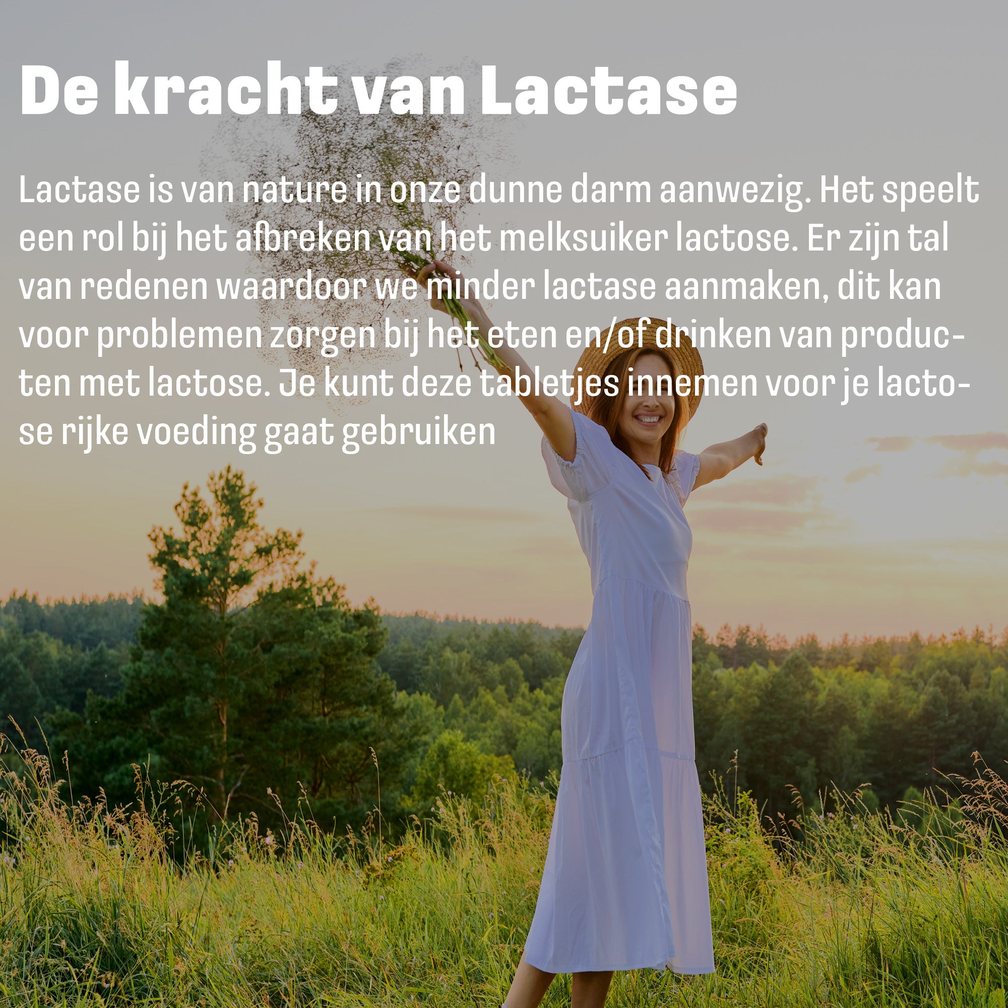 Lactase 5.000 FCC-eenheden | 90 tabletten | LUTO Supplements