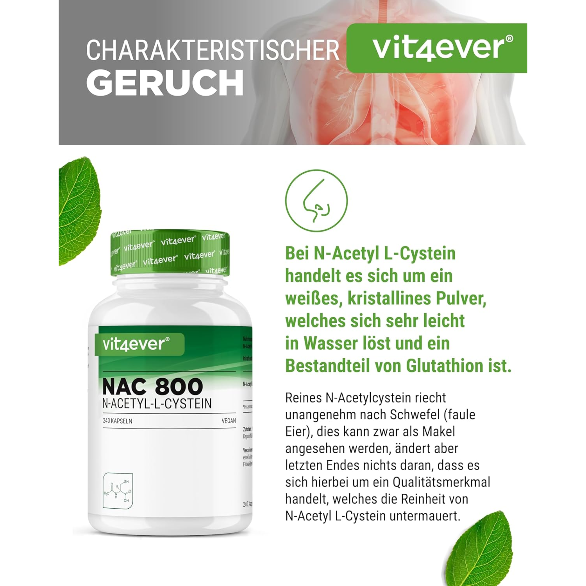 NAC | N-acetyl L-cysteine 800 mg | 240 capsules | Vit4ever