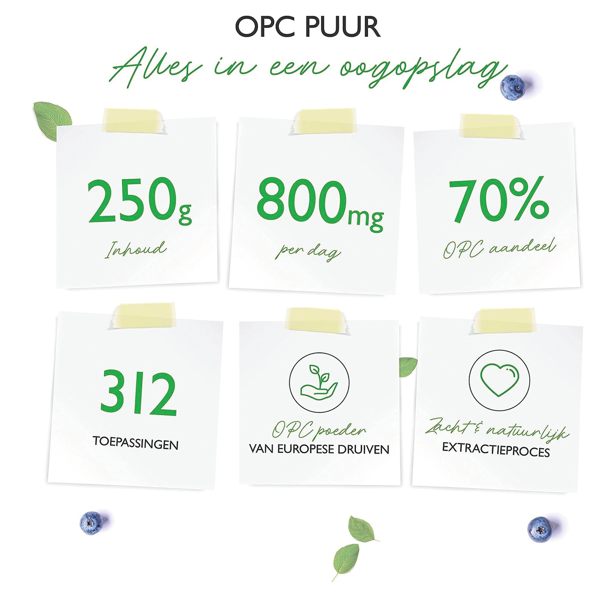 OPC Druivenpitextractpoeder | 250 g | Pure OPC van Europese druiven | Brievenbus paket | Vit4ever