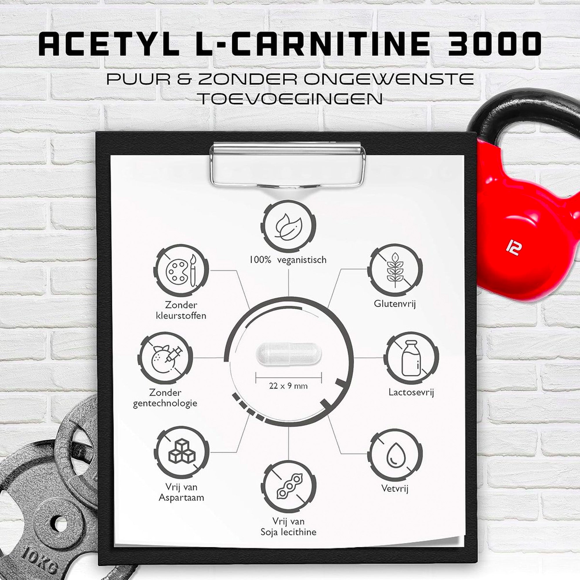Acetyl L-Carnitine 3000 | 250 Capsules | 3000 mg per dosering | extra sterk | 100% acetyl L-carnitine - sterke L-carnitine vorm | laboratoriumgeteste kwaliteit | vegan | German Elite Nutrition