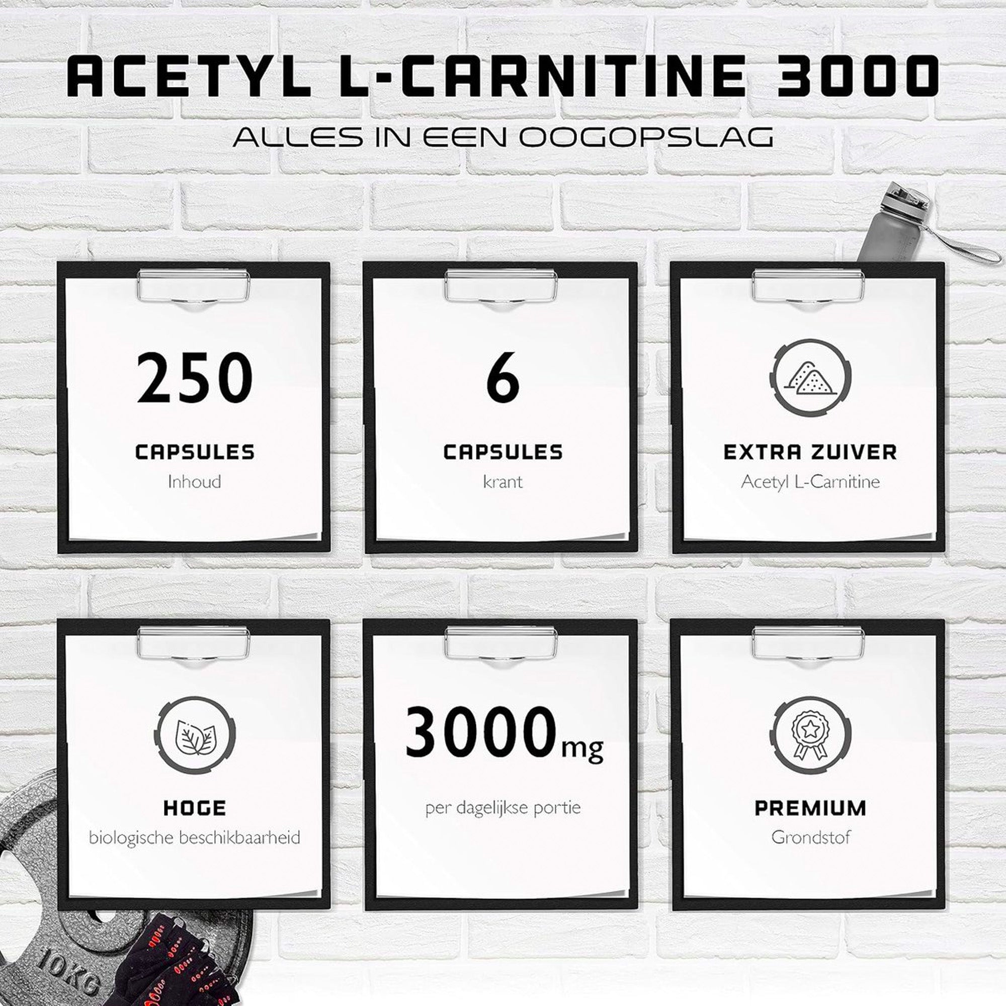 Acetyl L-Carnitine 3000 | 250 Capsules | 100% acetyl L-carnitine - sterke L-carnitine vorm |German Elite Nutrition