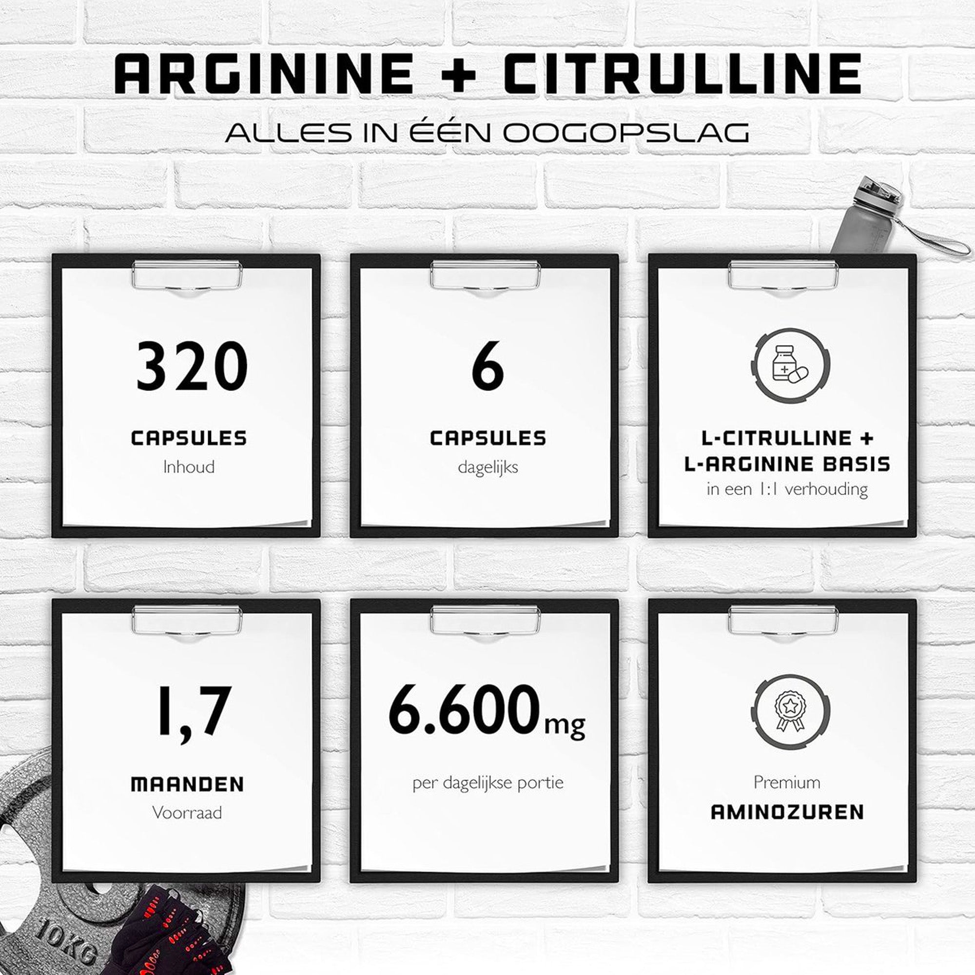 L-Arginine + L-Citrulline | 320 capsules | 1100 mg per capsule | Citrulline + Arginine Basis in 1:1 verhouding | Premium Aminozuren