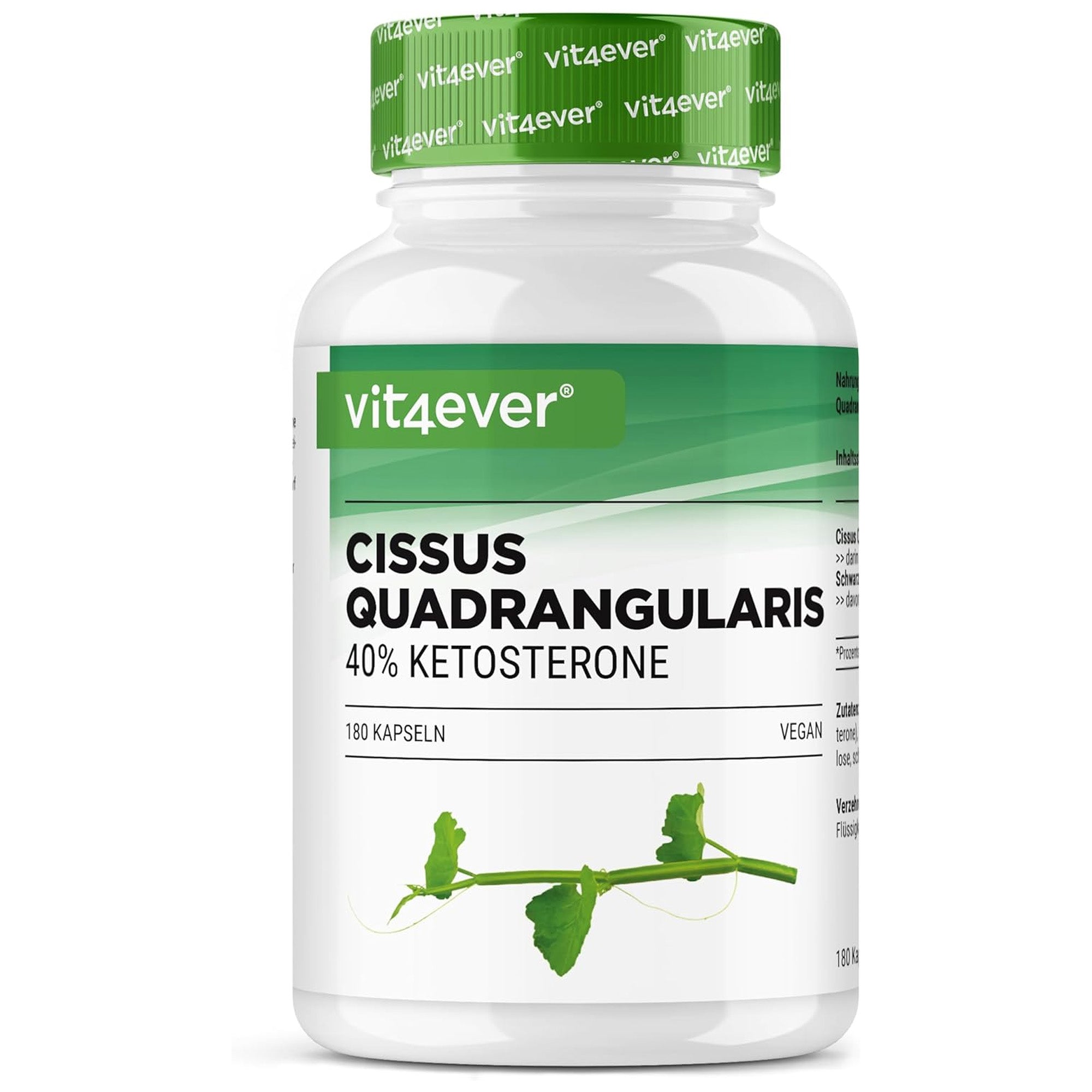 Vit4ever Cissus Quadrangularis Intenso capsules - 180 stuks