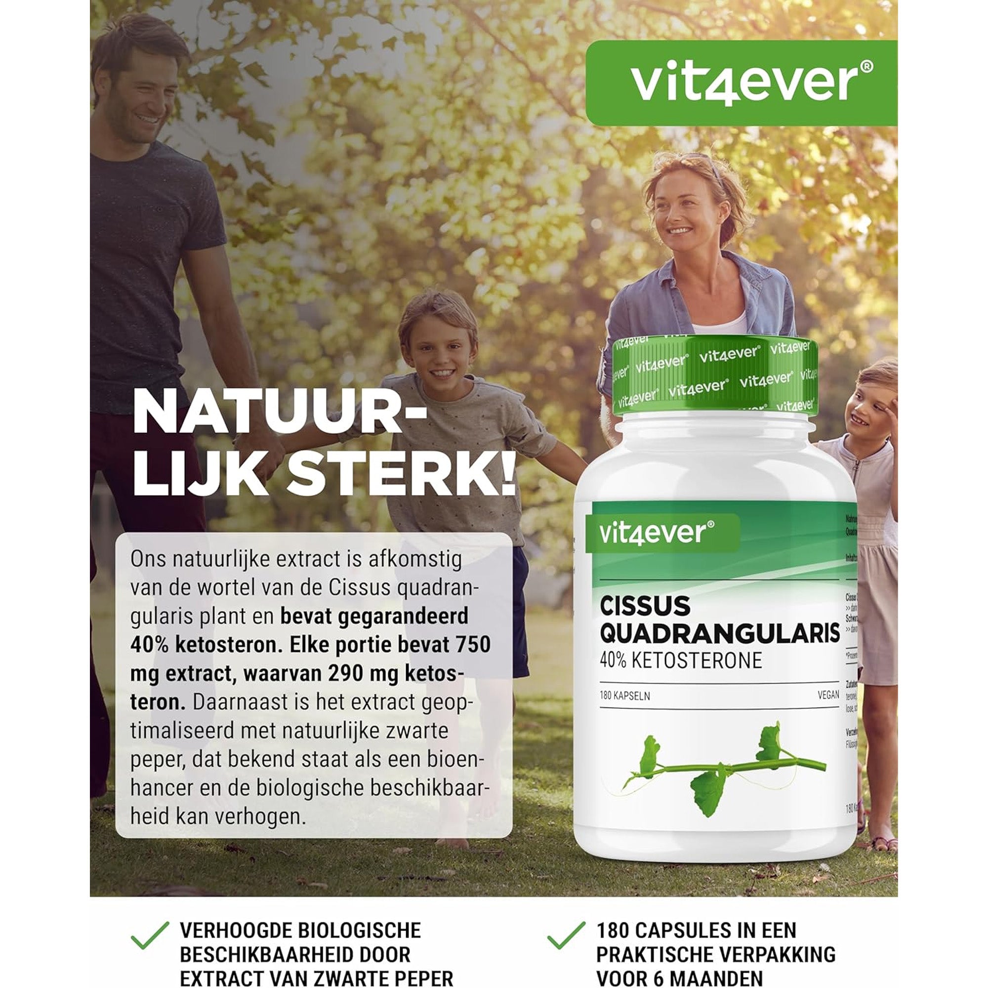 Cissus Quadrangularis voedingsinformatie - 40% ketosteronen