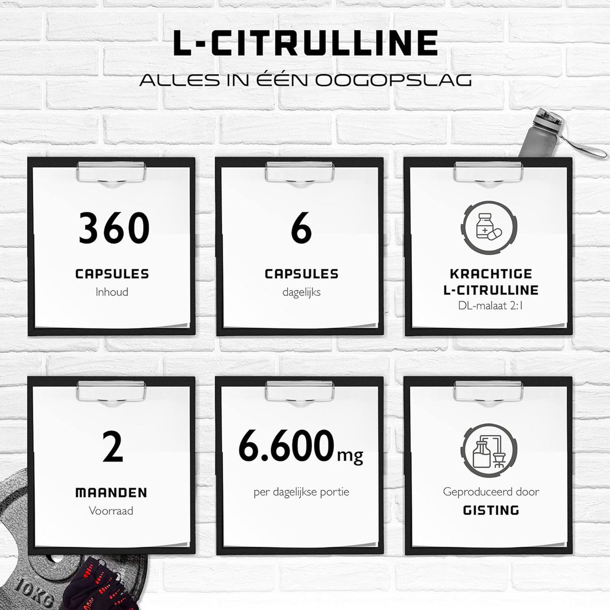 L-Citrulline 360 Capsules | Extra hoge dosering met 1100 mg per capsule | 6600 mg per portie | L-Citrulline DL-Malaat 2:1 uit plantaardige fermentatie | Zonder ongewenste toevoegingen